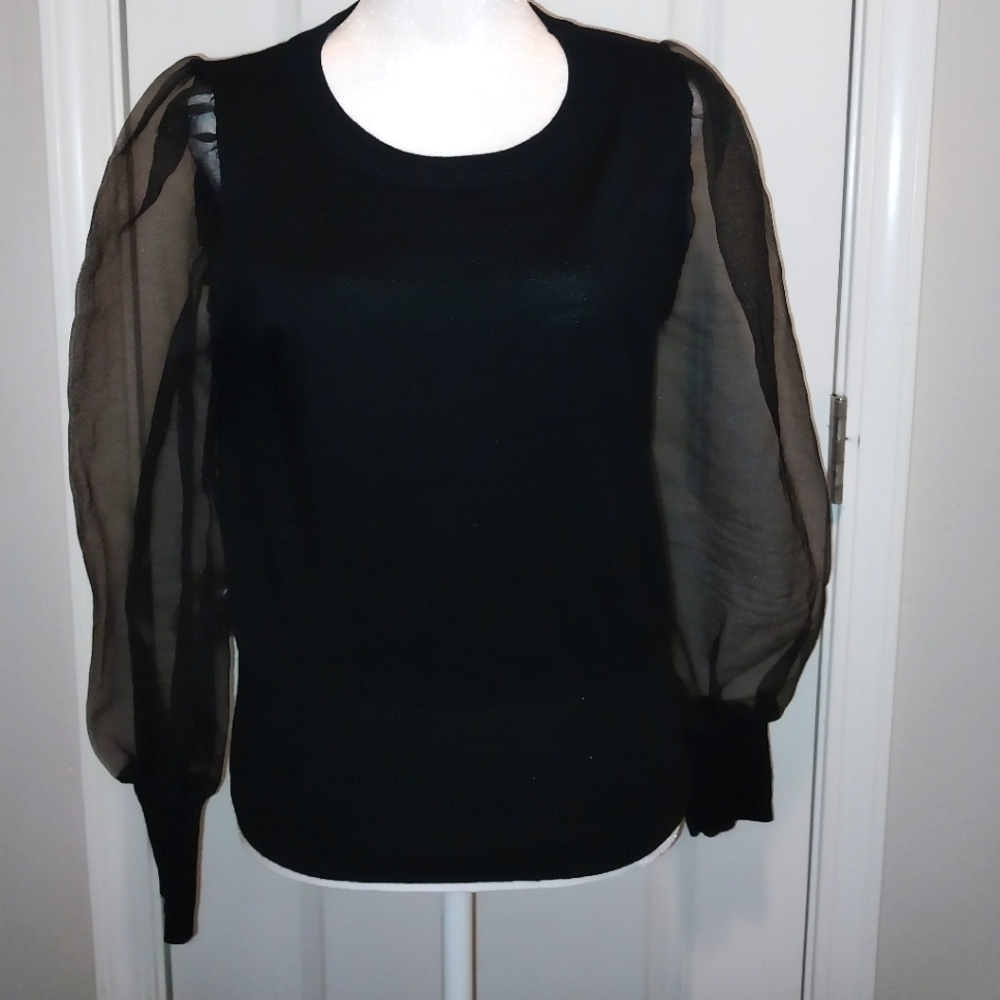 Sweater with sheer sleeves